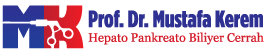 Prof. Dr. Mustafa Kerem